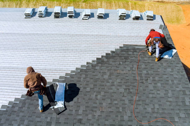 Roof Gutter Cleaning in Fair Oaks, CA